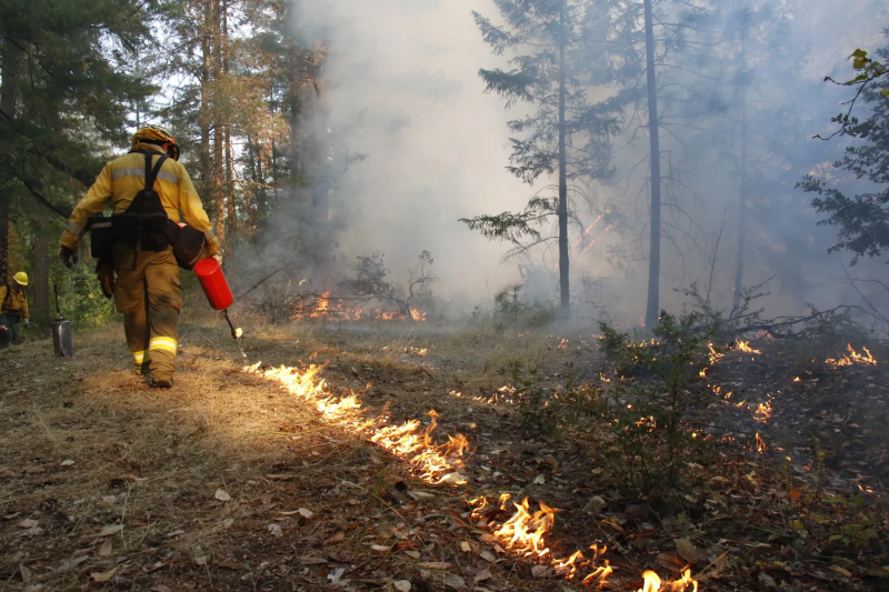 Operation Guide Of Fire Hydraulic Tongs In Large Fire Rescue